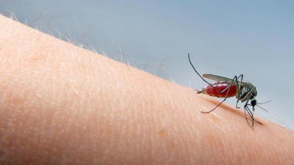 Monsoon Health Alert