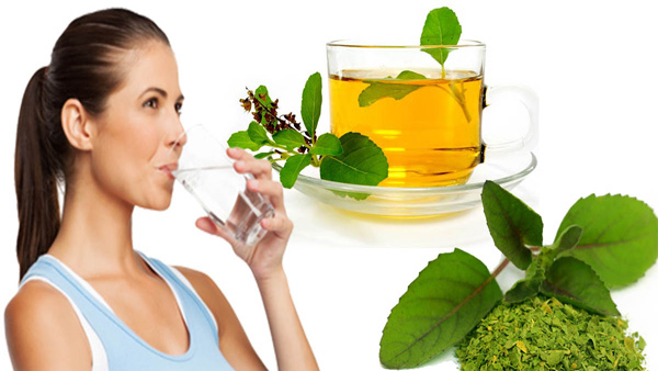 Why You Should Drink Tulsi Water