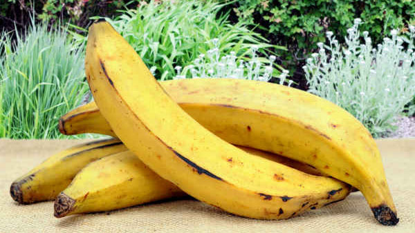 Monsoon stomach upset Monsoon stomach upset