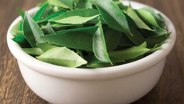 Curry Leaves for Weight Loss