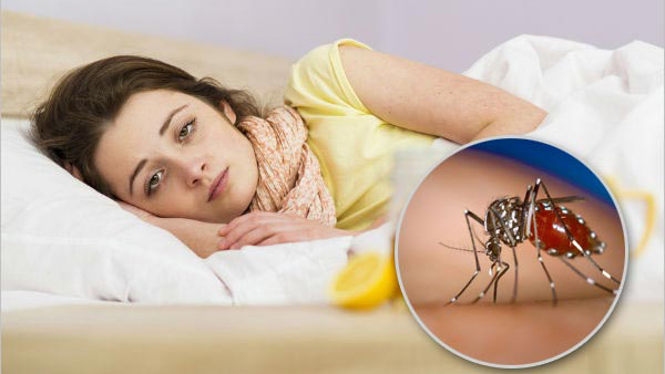 Dengue vs viral fever