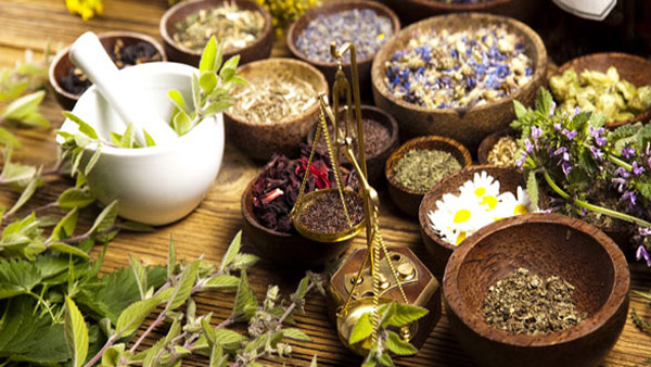 Herbs for weight loss Herbs for weight loss
