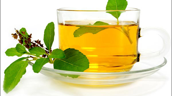 tulsi leaves for weight loss