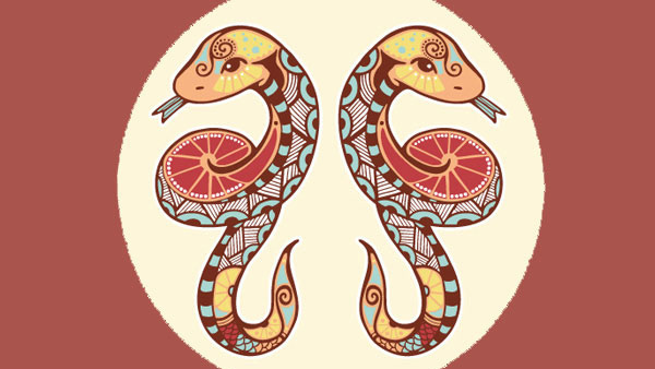 Lakshmi Narayan Rajayoga