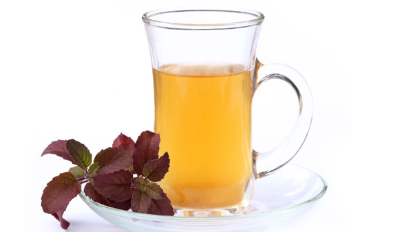 Tulsi Tea Benefits