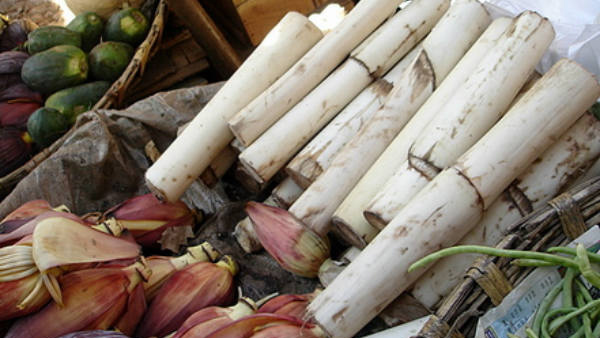 Weight Loss with Banana Stem