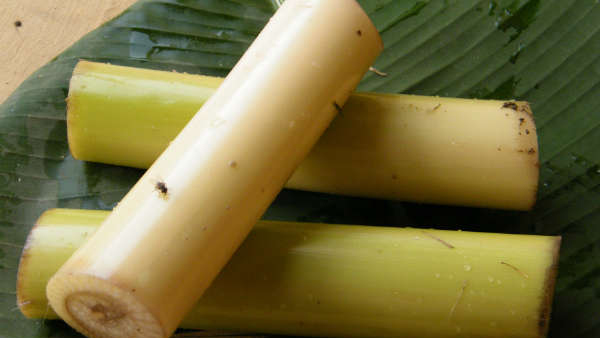 Weight Loss with Banana Stem