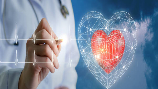 Foods That Harm Your Heart