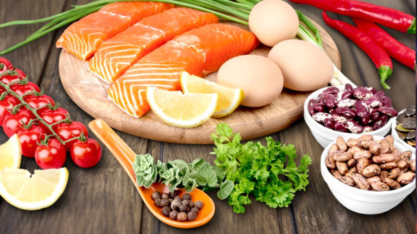 Weight Loss Best Protein-