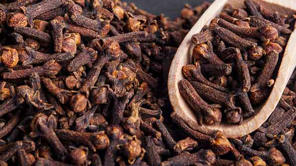 Chewing Cloves Daily