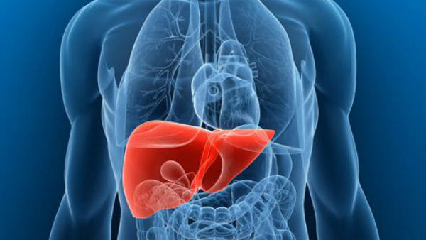 Foods to Cleanse Your Liver