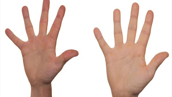 Line of Mars in Palmistry