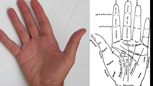 Line of Mars in Palmistry