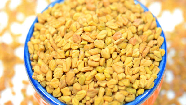 Soaked Fenugreek Seeds Benefits Soaked Fenugreek Seeds Benefits