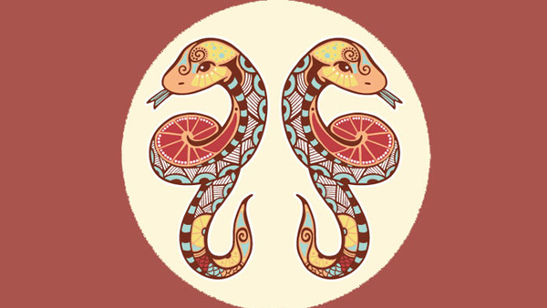 Daily Horoscope Prediction