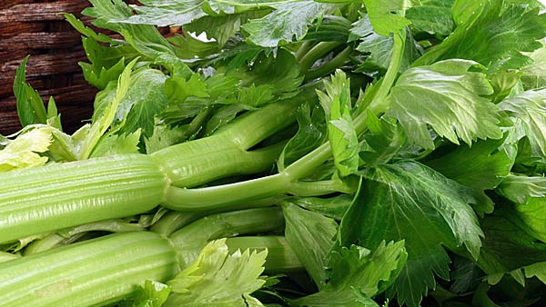 blood sugar control blood sugar control