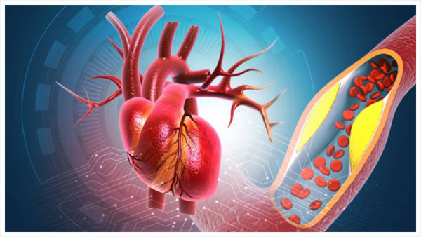 Symptoms of Blocked Blood Vessels Symptoms of Blocked Blood Vessels