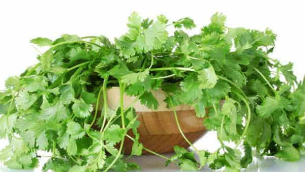 New Year 2026 weight loss New Year 2026 weight loss