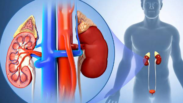 Early Signs of Kidney Disease