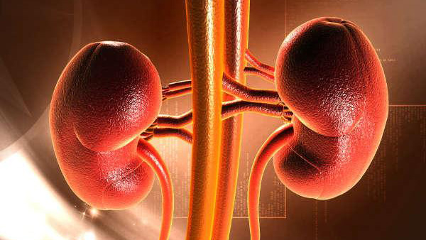 Early Signs of Kidney Disease