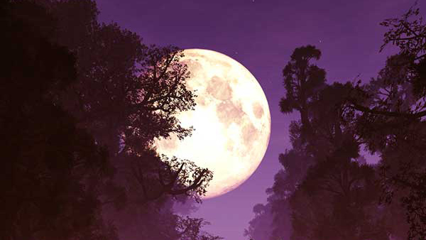 Margashirsha Full Moon