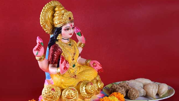 Venus Rise 2026 Venus Rise 2026