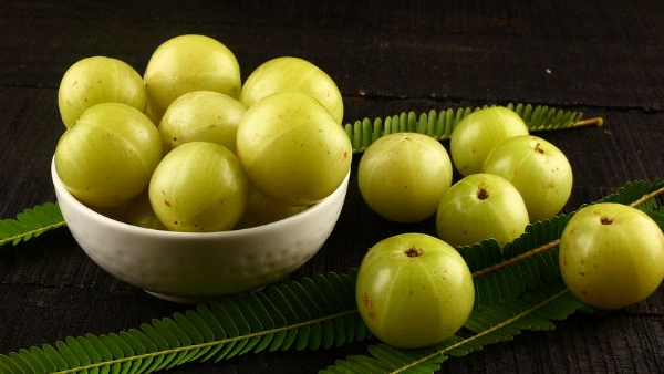 Benefits of Eating Amla Benefits of Eating Amla