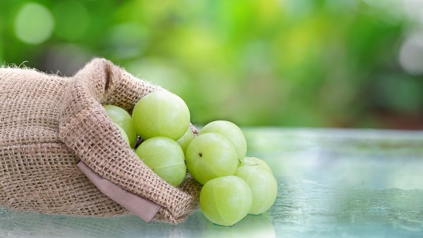 Benefits of Eating Amla Benefits of Eating Amla