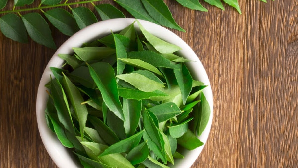 Drinking Curry Leaves Drinking Curry Leaves