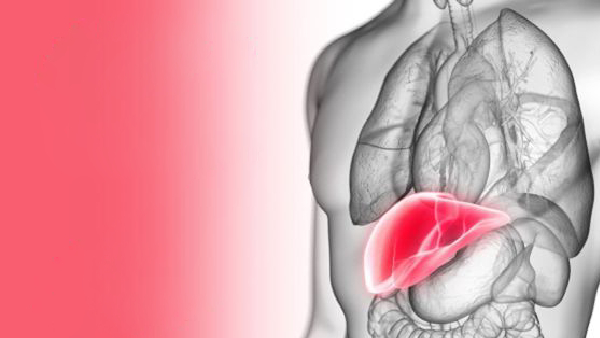 Fatty Liver Disease Symptoms Fatty Liver Disease Symptoms