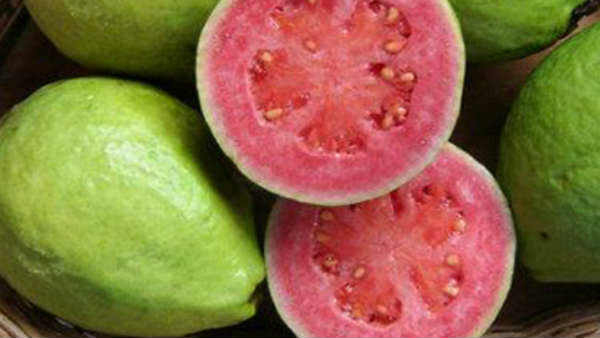Guava benefits