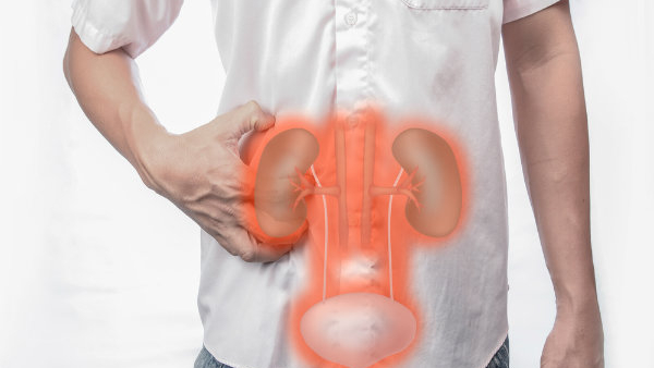 Kidney-Friendly Foods