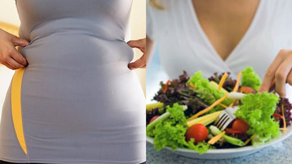 Economic Survey 2026