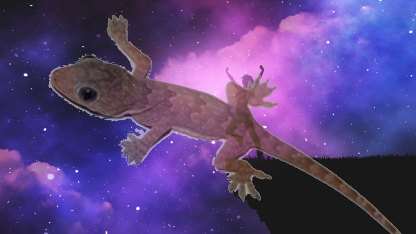 Dream Meaning of Lizards and Scorpions Dream Meaning of Lizards and Scorpions