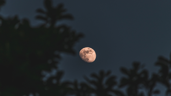 First Lunar Eclipse 2026