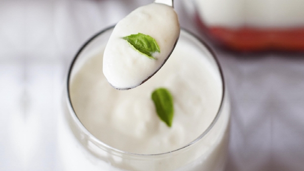 eating curd benefits eating curd benefits