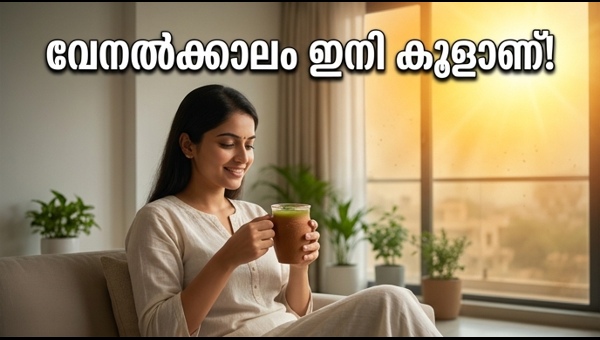 Beat Heatwave and Dust Storms: Natural Home Remedies for 2026 Summer Relief