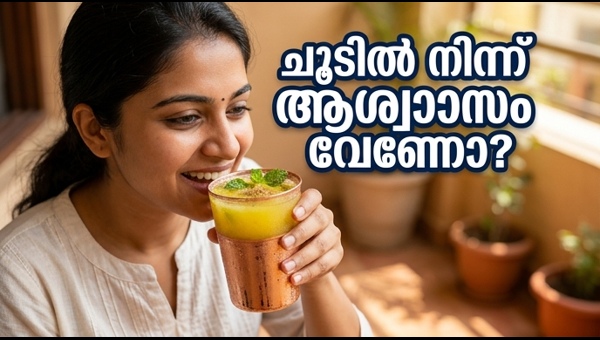 Beat the Heat: Best Homemade Summer Drinks to Stay Hydrated and Cool