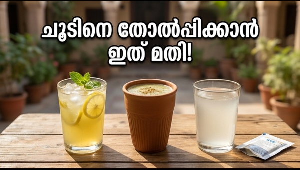 Beat the Heat: Best Summer Drinks and Hydration Tips for Extreme Weather