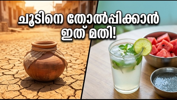 Beat the Heat: Natural Home Remedies and Traditional Drinks to Prevent Dehydration and Heatstroke in 2025