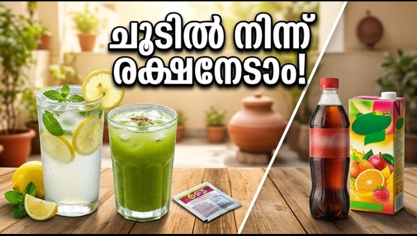 Beat the Heat: Best Natural Summer Drinks to Prevent Dehydration and Heatstroke