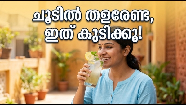 Beat the Summer Heat: Best Natural Drinks and Health Tips to Stay Hydrated | വേനൽക്കാലത്തെ അതിജീവിക്കാൻ നാടൻ പാനീയങ്ങൾ