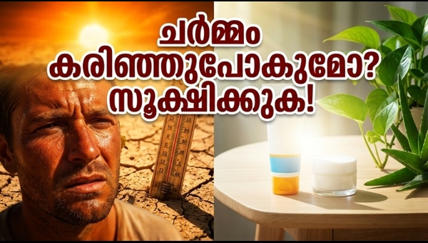 Heatwave Skin Care: Essential Tips to Protect Your Skin from UV Rays and Sunburn