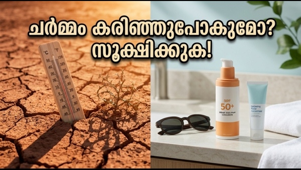 IMD Heatwave Alert: Essential Skin Protection Tips and SPF 50 Guide
