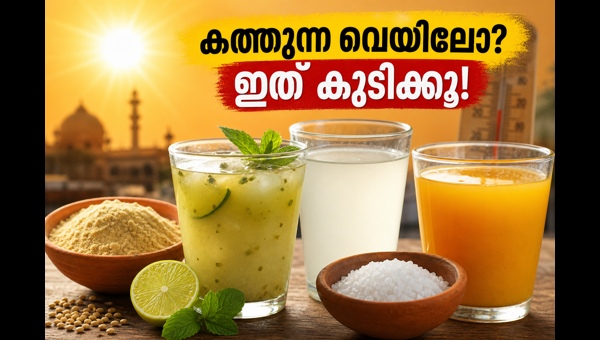 Heatwave Safety 2026: Best Natural Drinks to Beat the Summer Heat and Stay Hydrated