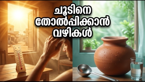 Heatwave Survival Guide: Best Homemade Natural Drinks to Stay Cool in May 2026