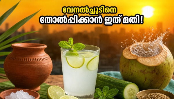 Heatwave remedies 2026: Beat the scorching summer heat with these simple, effective traditional kitchen drinks and essential hydration tips