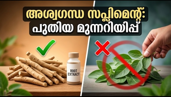 Ashwagandha Supplements Alert: FSSAI Bans Leaf Usage, Mandates Roots Only for Safety in 2026