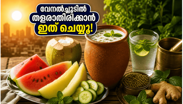 Heatwave Precautions 2026: Essential Summer Health Tips to Stay Hydrated and Beat the Scorching Heat Naturally with Traditional Remedies