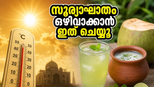 Heatwave Precautions 2026: Essential Tips to Stay Cool and Prevent Heatstroke in Summer